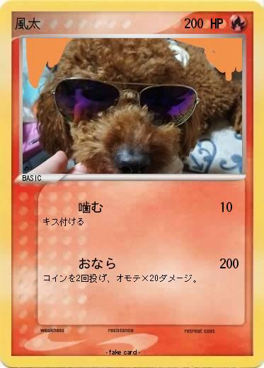 Pokemon 風太