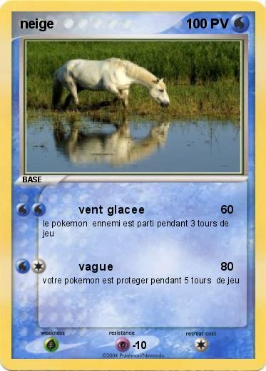 Pokemon neige