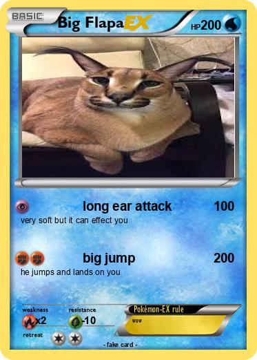 Pokemon Big Flapa