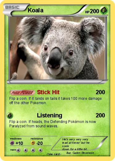 Pokemon Koala