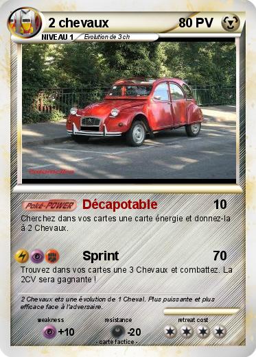 Pokemon 2 chevaux