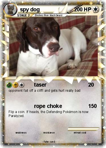 Pokemon spy dog