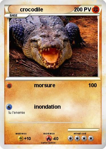Pokemon crocodile