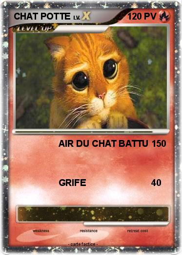 Pokemon CHAT POTTE
