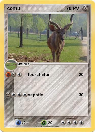 Pokemon cornu