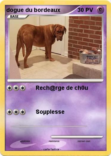 Pokemon dogue du bordeaux