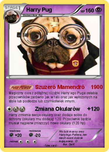 Pokemon Harry Pug