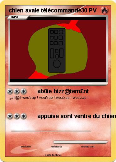 Pokemon chien avale télécommande