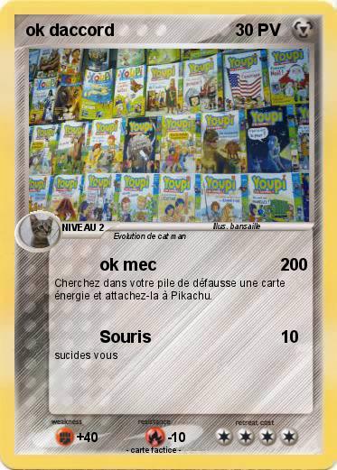 Pokemon ok daccord