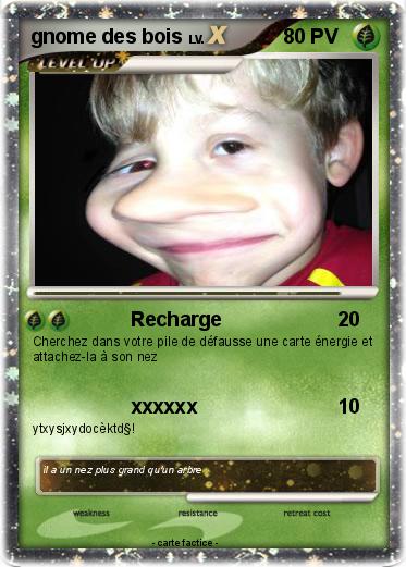 Pokemon gnome des bois