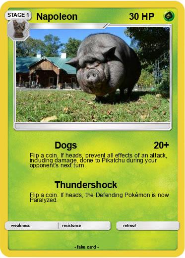 Pokemon Napoleon
