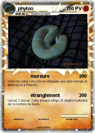 Pokemon phyton