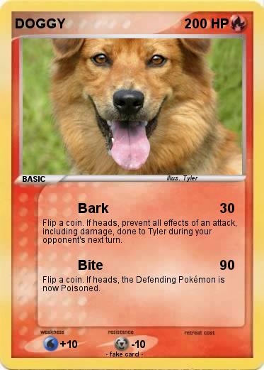 Pokemon DOGGY