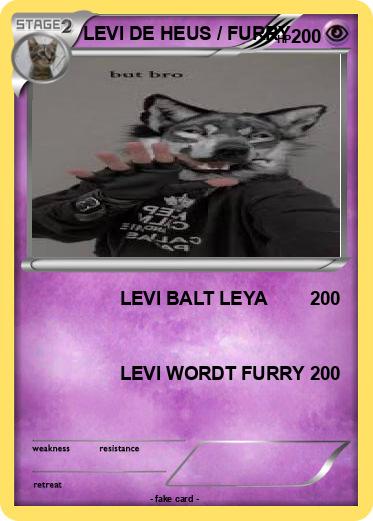 Pokemon LEVI DE HEUS / FURRY