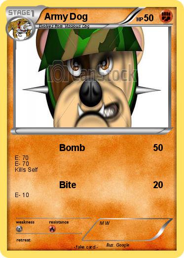 Pokemon Army Dog