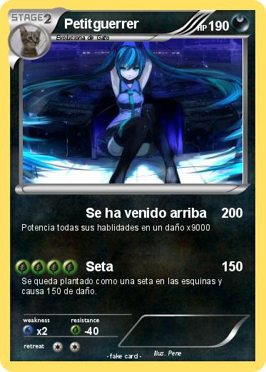 Pokemon Petitguerrer
