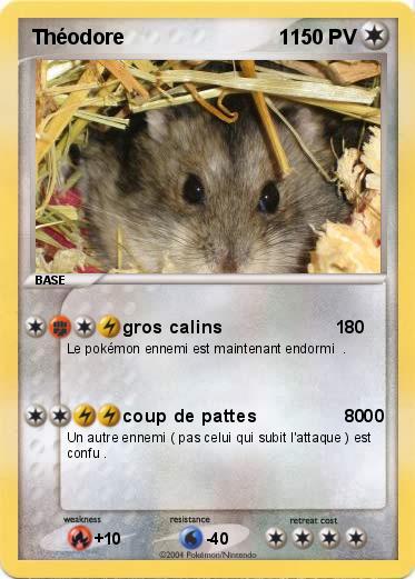 Pokemon Théodore                           1