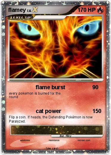 Pokemon flamey