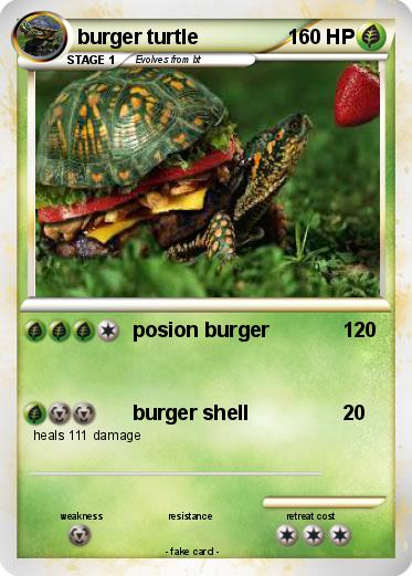 Pokemon burger turtle