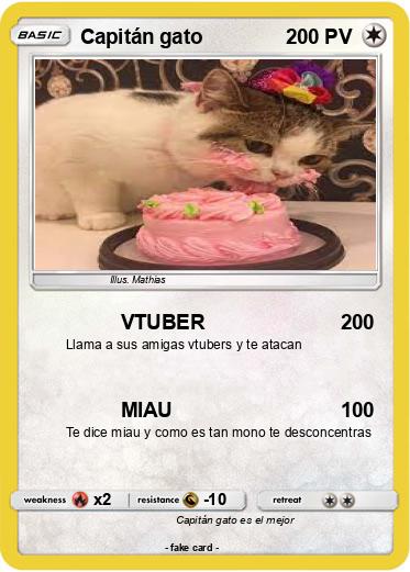 Pokemon Capitán gato