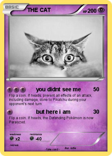 Pokemon THE CAT