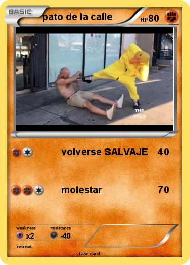 Pokemon pato de la calle