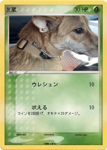Pokemon 友蔵