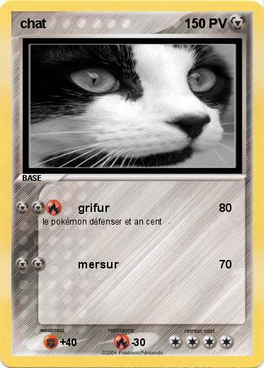Pokemon chat