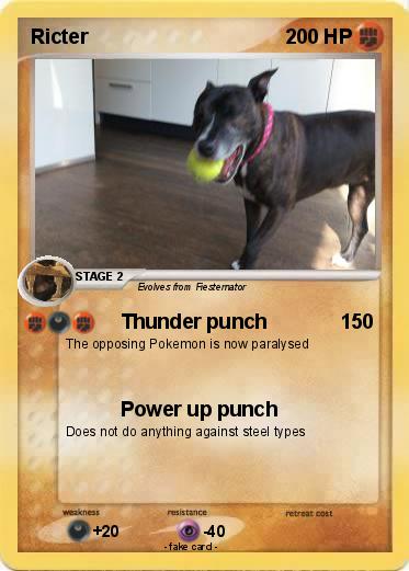 Pokemon Ricter