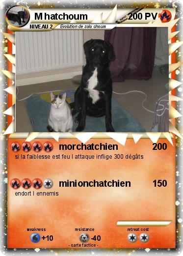 Pokemon M hatchoum