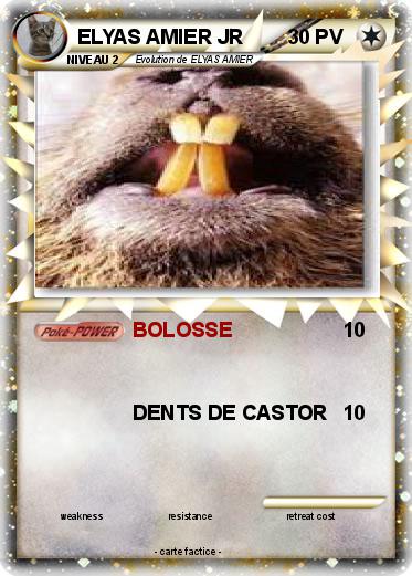 Pokemon ELYAS AMIER JR