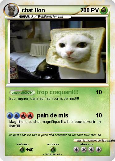 Pokemon chat lion