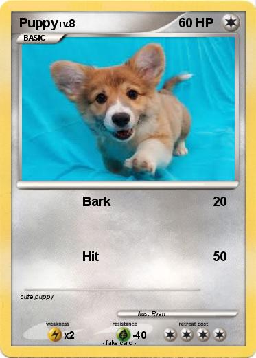 Pokemon Puppy