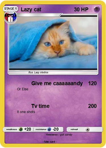 Pokemon Lazy cat