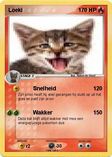 Pokemon Loeki