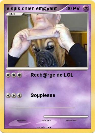 Pokemon je sµis chien eff@yant