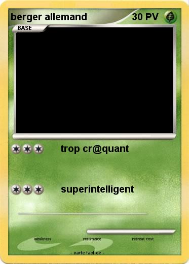 Pokemon berger allemand