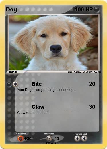Pokemon Dog