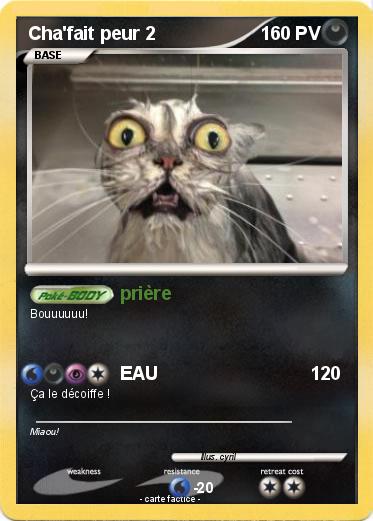Pokemon Cha'fait peur 2