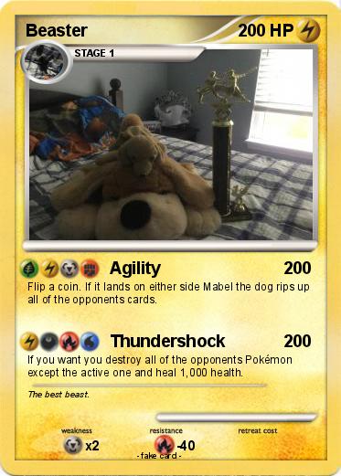 Pokemon Beaster