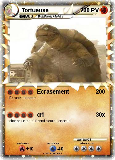 Pokemon Tortueuse