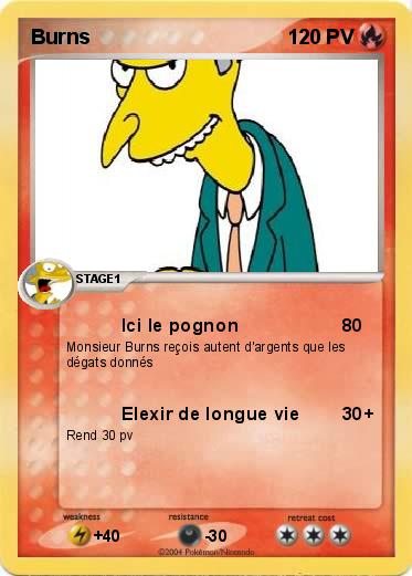 Pokemon Burns