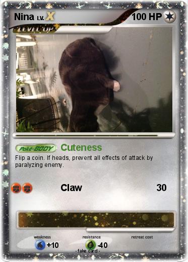 Pokemon Nina
