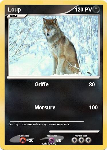 Pokemon Loup