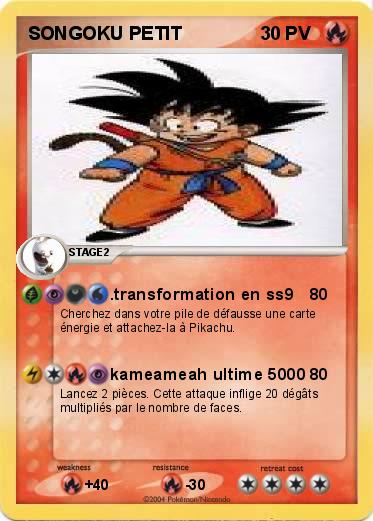 Pokemon SONGOKU PETIT