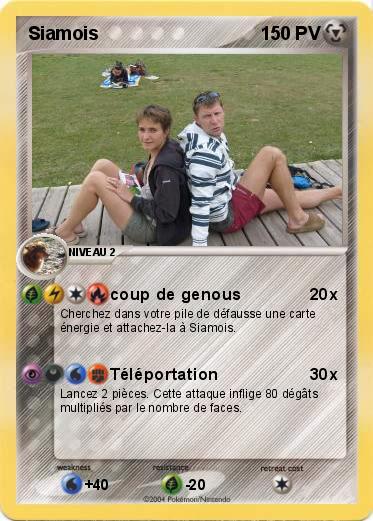 Pokemon Siamois
