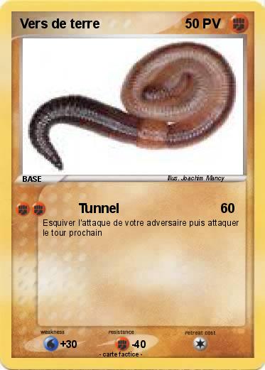 Pokemon Vers de terre