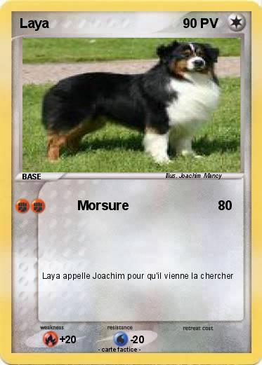 Pokemon Laya