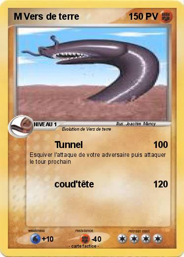 Pokemon M Vers de terre
