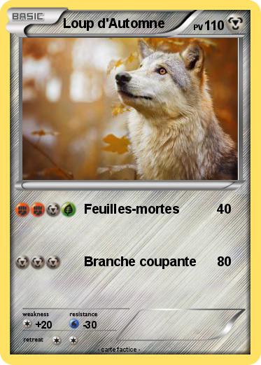 Pokemon Loup d'Automne